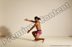 Elmer - Traditional Korean Art